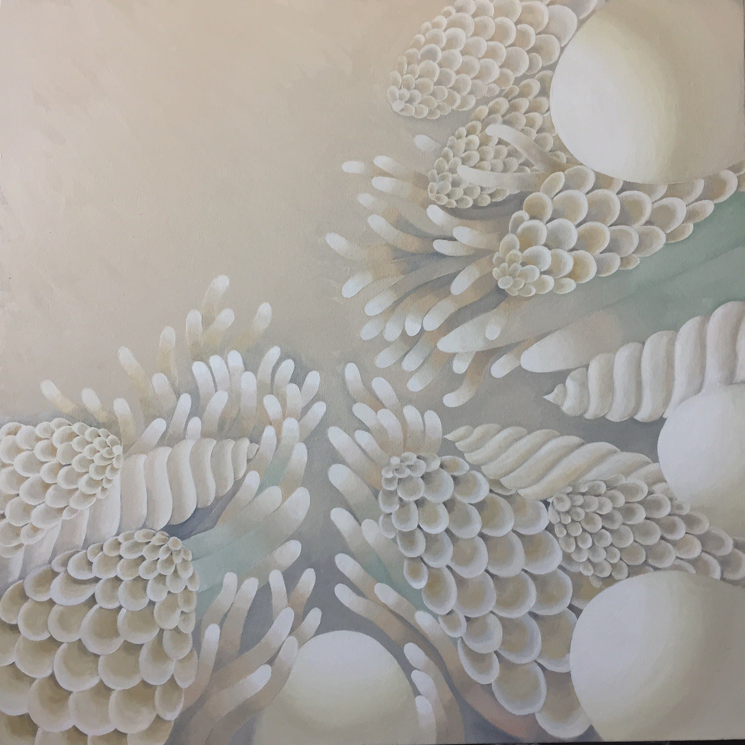 Chamomile%3a Tea is Dead